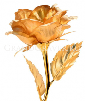 Купить Золотая Роза Подарок Золотая Свадьба, подарок золотая роза, подарок 
на золотую свадьбу, золотая свадьба, золотой цветок, подарок женщине, 
подарок девушке, цветок для девушки, подарок для девушки, свадебное 
украшение, вечная роза